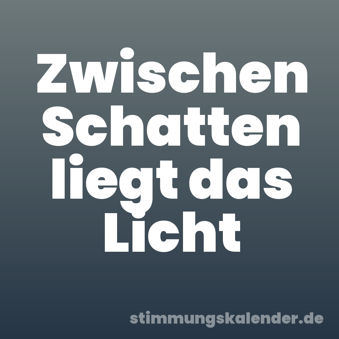 Zwischen Schatten liegt das Licht