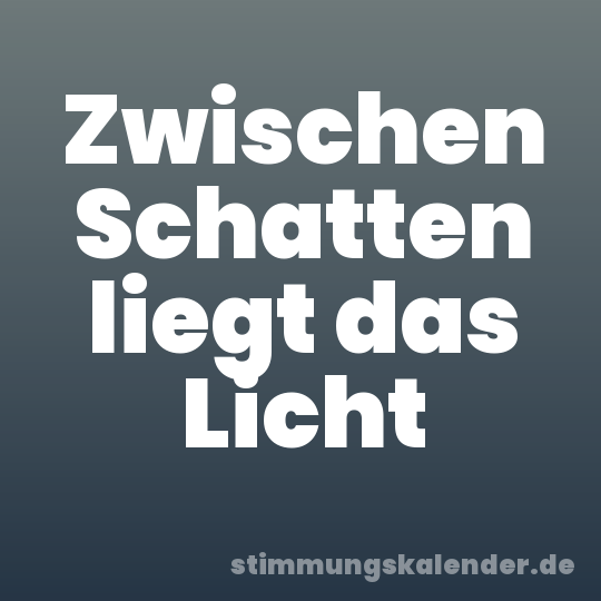 Zwischen Schatten liegt das Licht