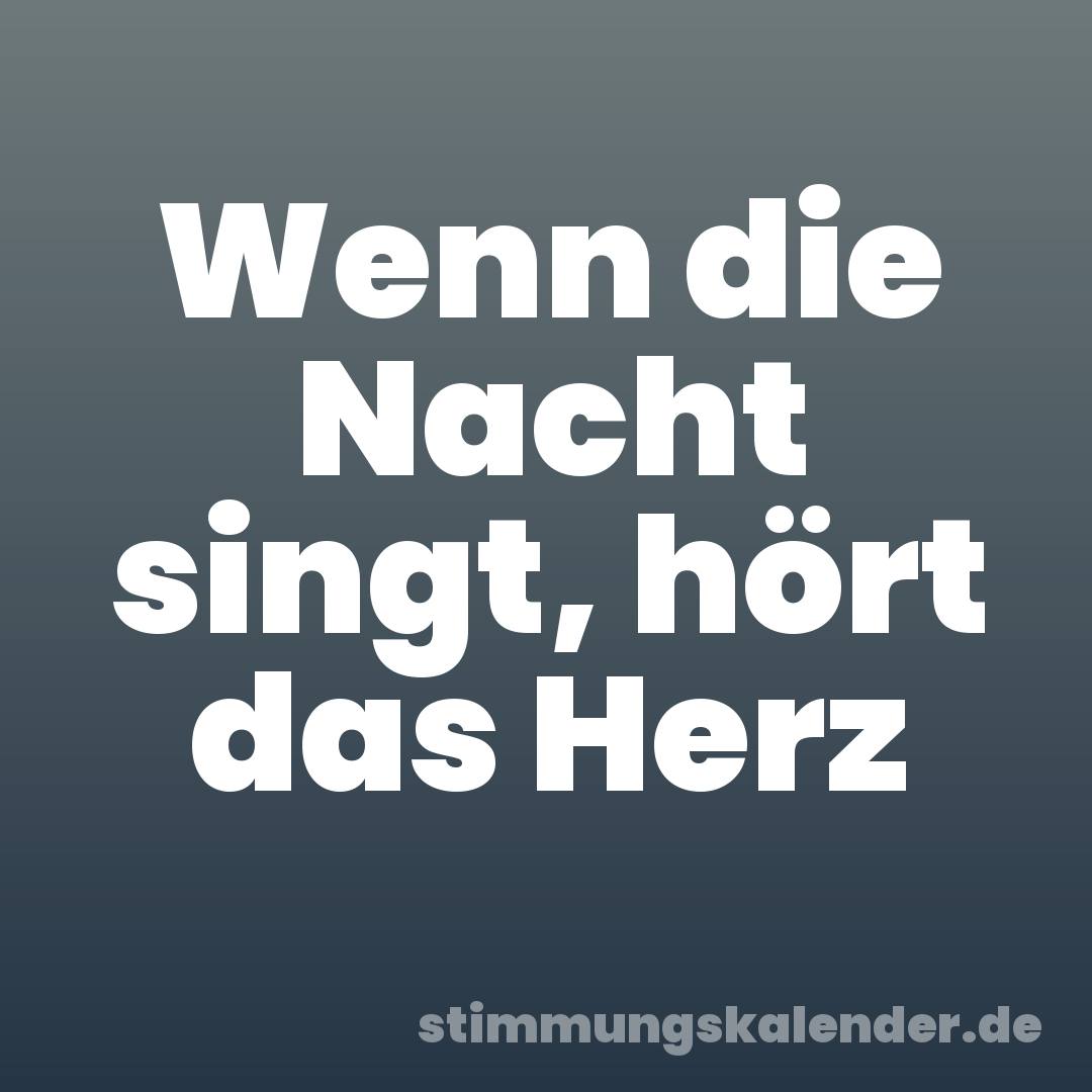 Wenn die Nacht singt, hört das Herz
