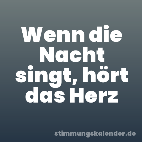 Wenn die Nacht singt, hört das Herz