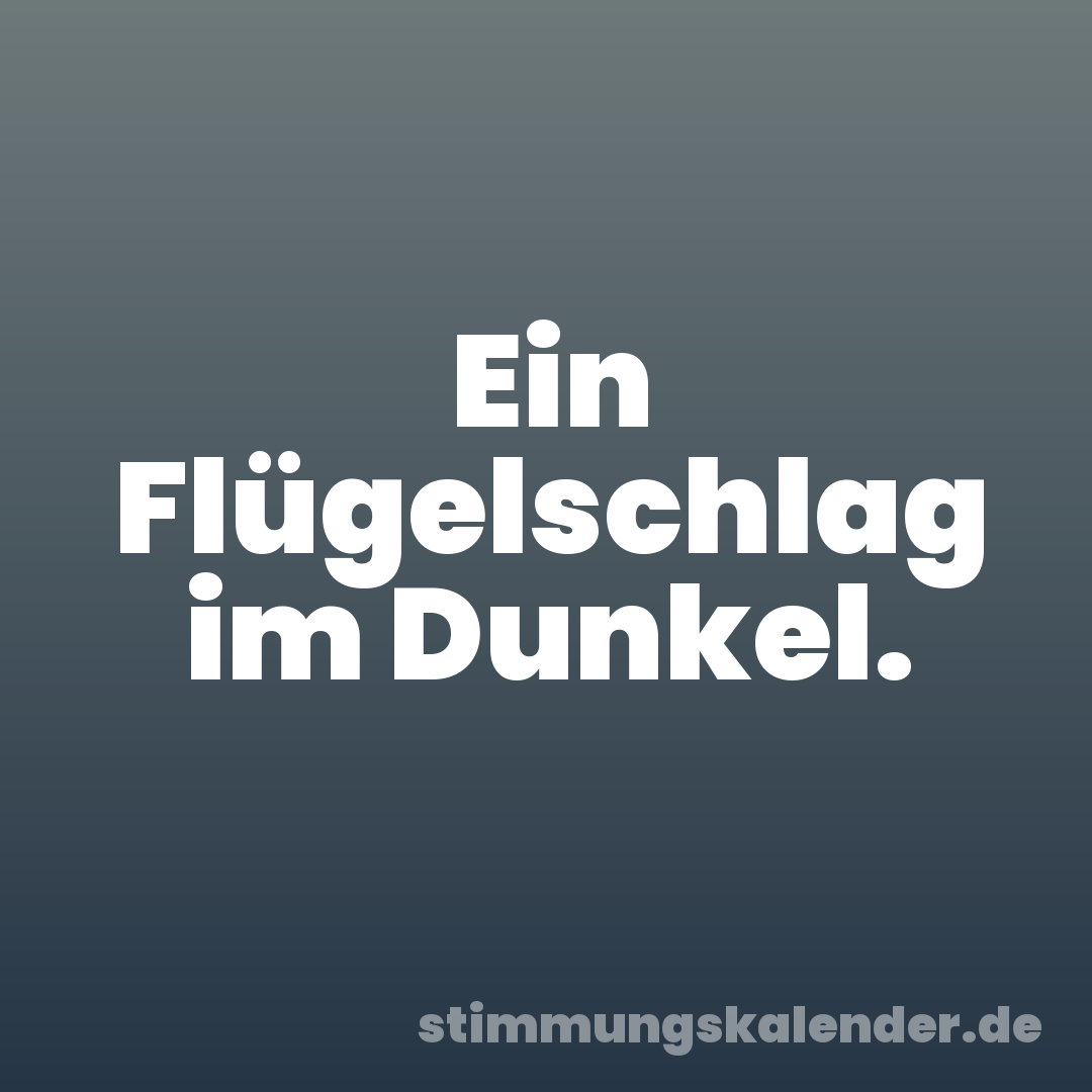 Ein Flügelschlag im Dunkel.