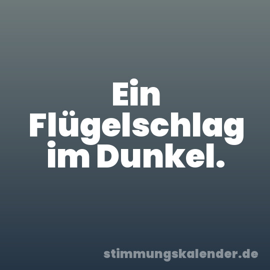 Ein Flügelschlag im Dunkel.