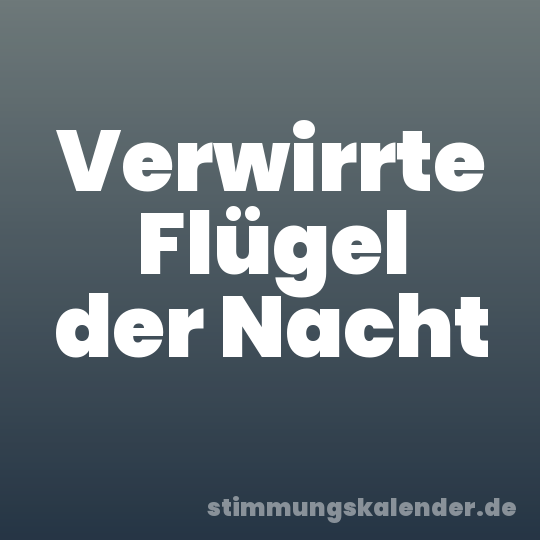 Verwirrte Flügel der Nacht