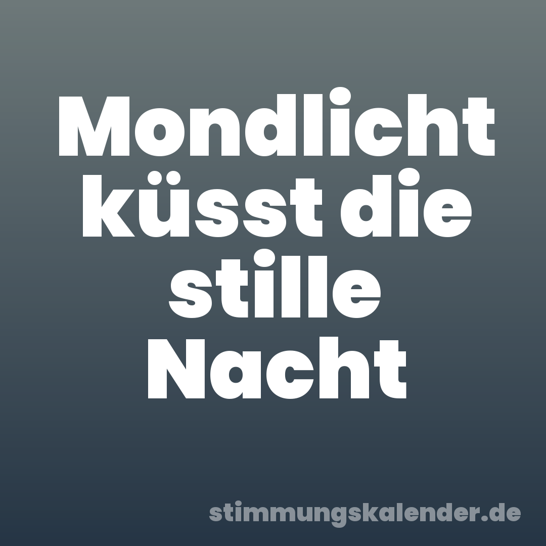 Mondlicht küsst die stille Nacht