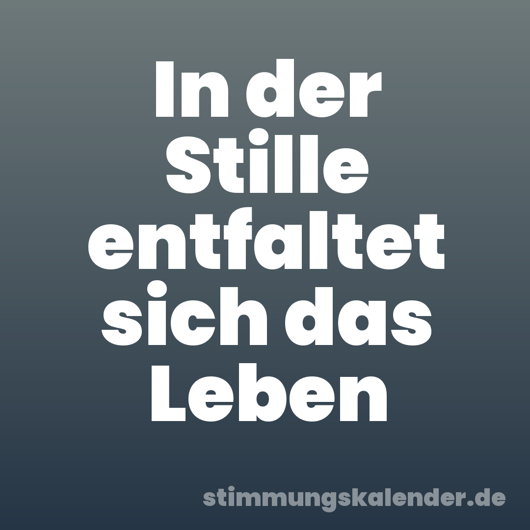 In der Stille entfaltet sich das Leben