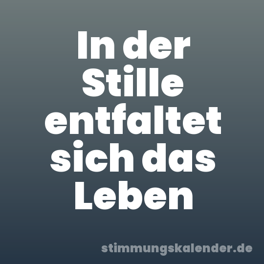 In der Stille entfaltet sich das Leben