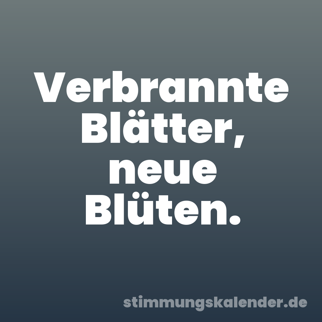Verbrannte Blätter, neue Blüten.