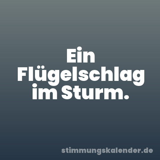 Ein Flügelschlag im Sturm.