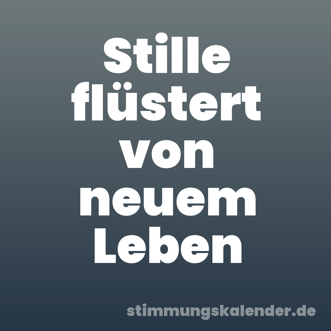 Stille flüstert von neuem Leben