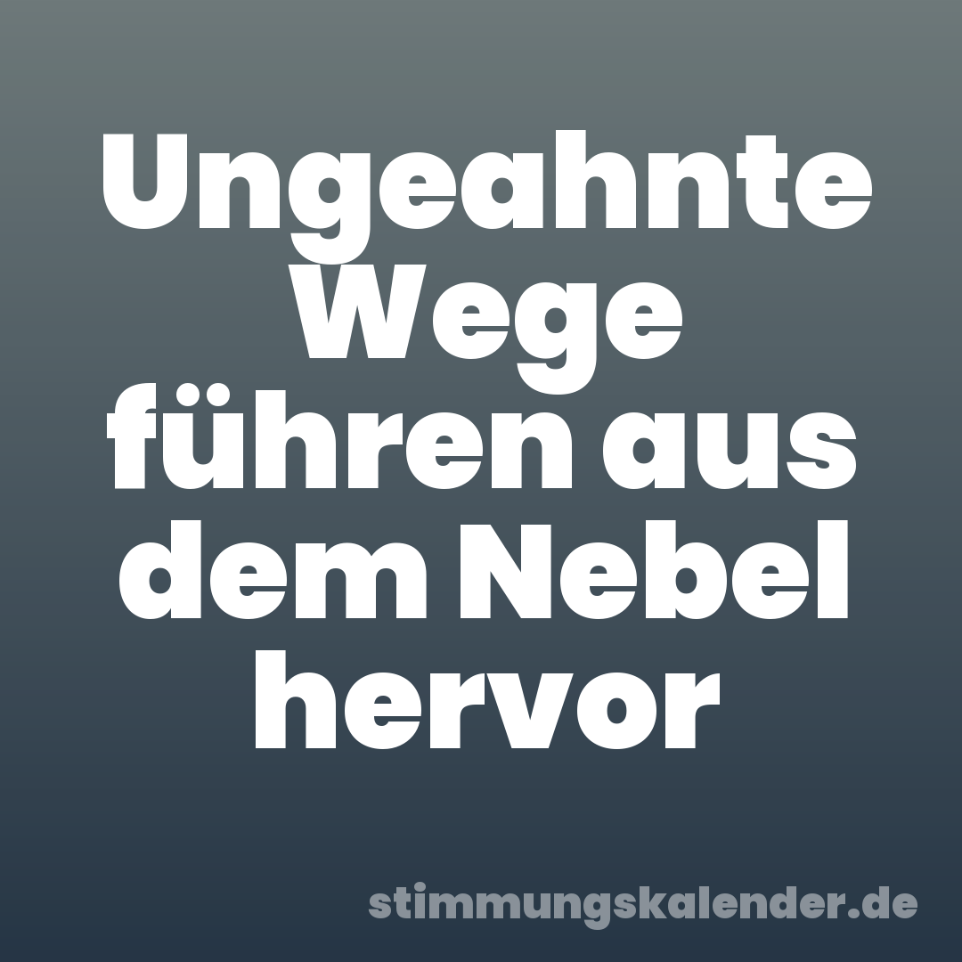 Ungeahnte Wege führen aus dem Nebel hervor
