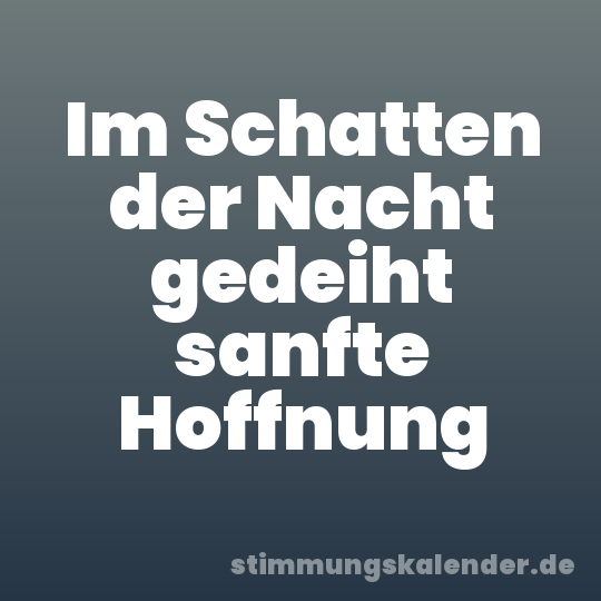 Im Schatten der Nacht gedeiht sanfte Hoffnung