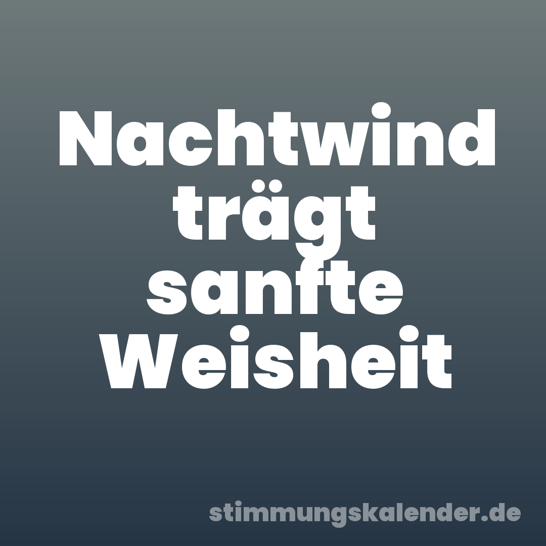 Nachtwind trägt sanfte Weisheit