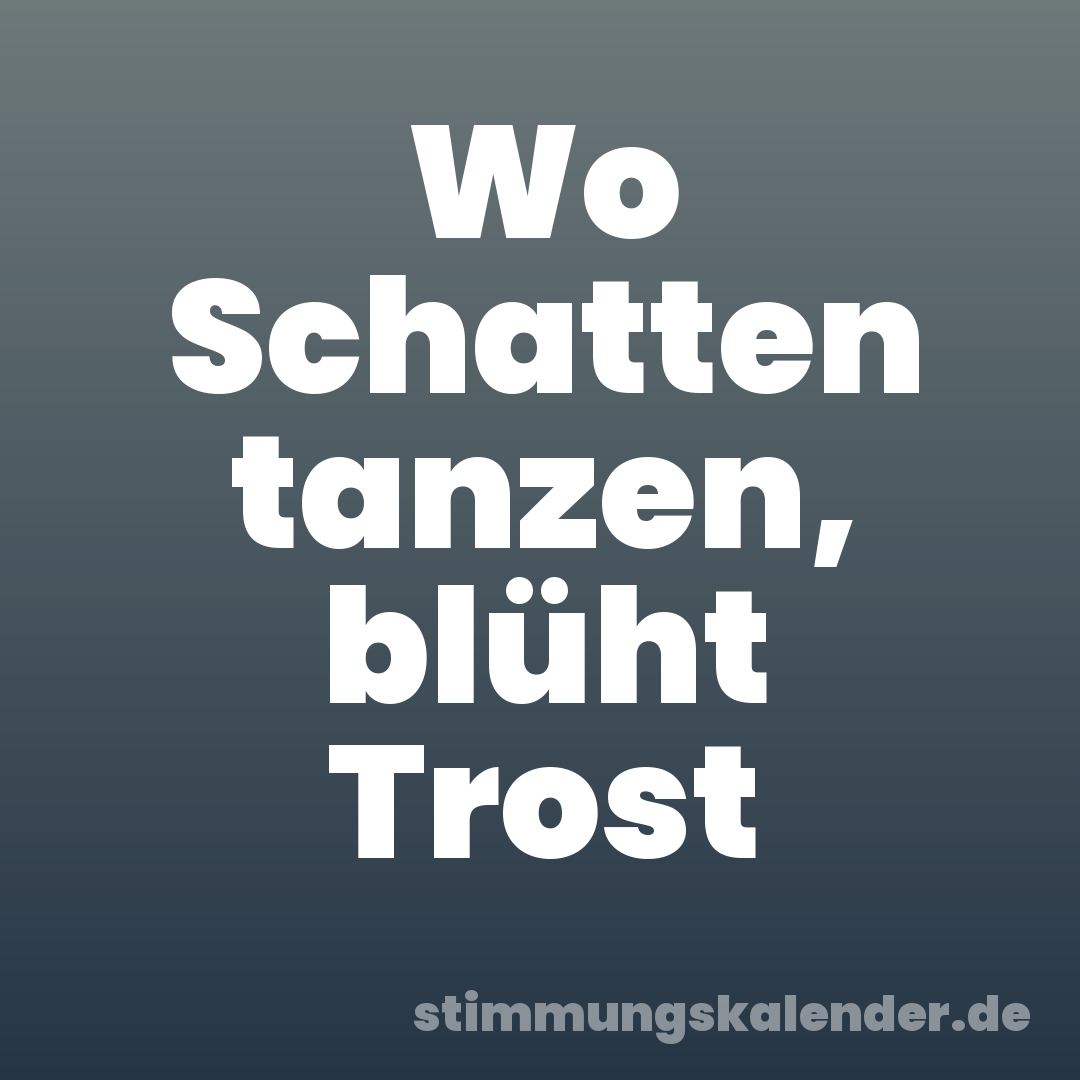 Wo Schatten tanzen, blüht Trost