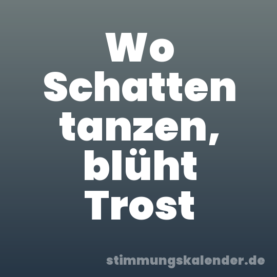 Wo Schatten tanzen, blüht Trost
