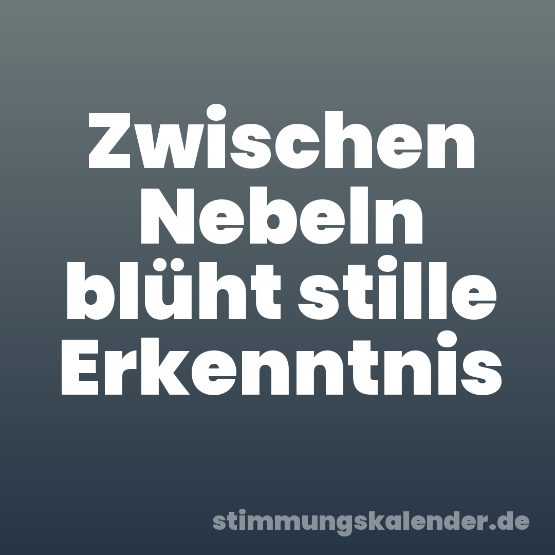 Zwischen Nebeln blüht stille Erkenntnis