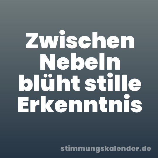 Zwischen Nebeln blüht stille Erkenntnis