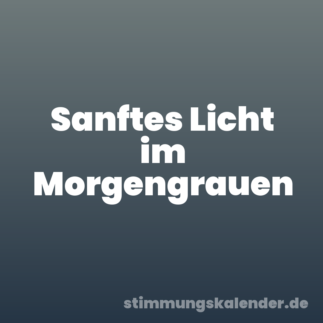 Sanftes Licht im Morgengrauen