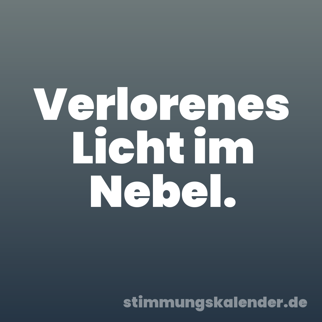 Verlorenes Licht im Nebel.