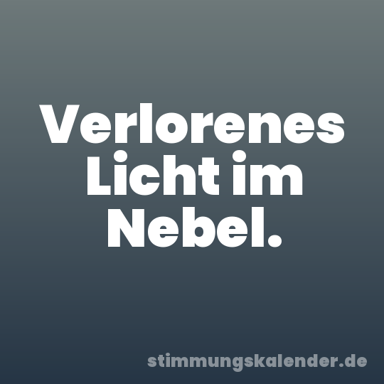 Verlorenes Licht im Nebel.