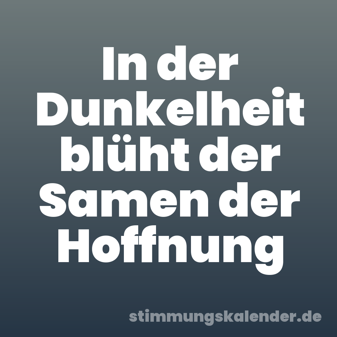 In der Dunkelheit blüht der Samen der Hoffnung
