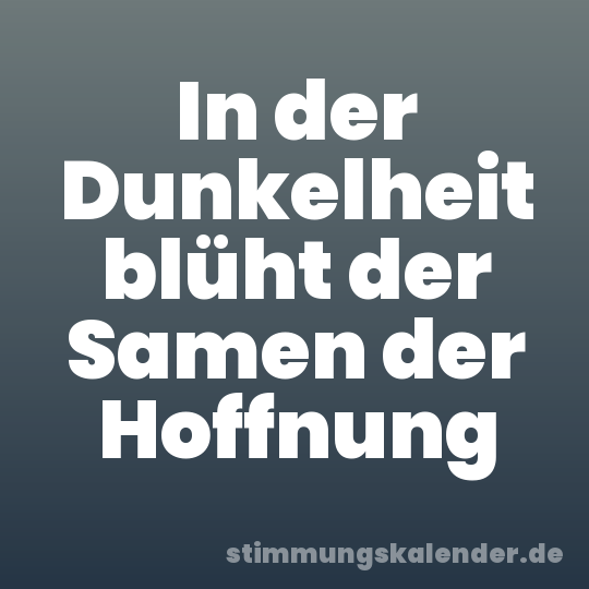 In der Dunkelheit blüht der Samen der Hoffnung