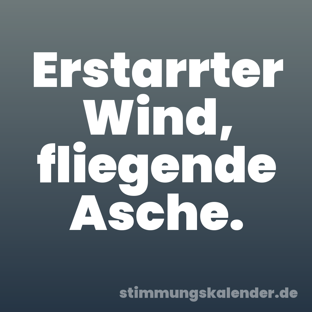 Erstarrter Wind, fliegende Asche.