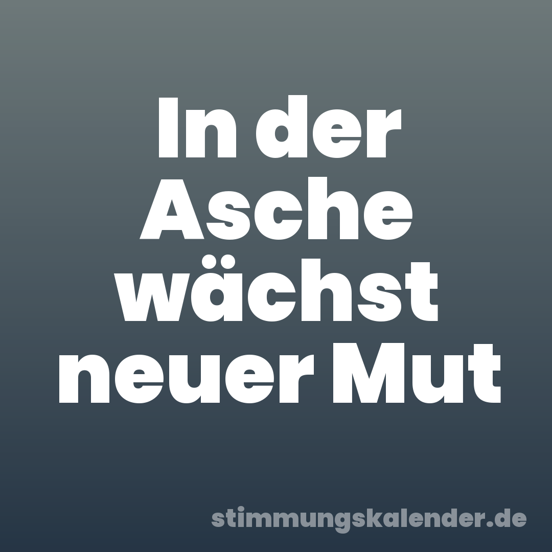 In der Asche wächst neuer Mut