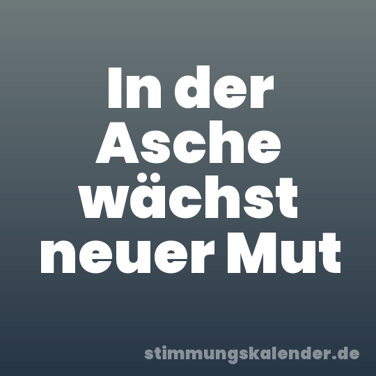 In der Asche wächst neuer Mut
