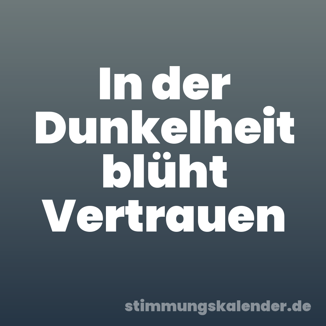 In der Dunkelheit blüht Vertrauen