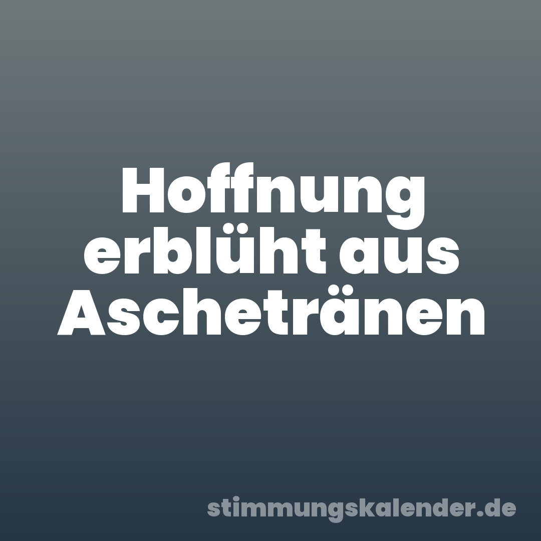 Hoffnung erblüht aus Aschetränen