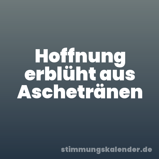 Hoffnung erblüht aus Aschetränen