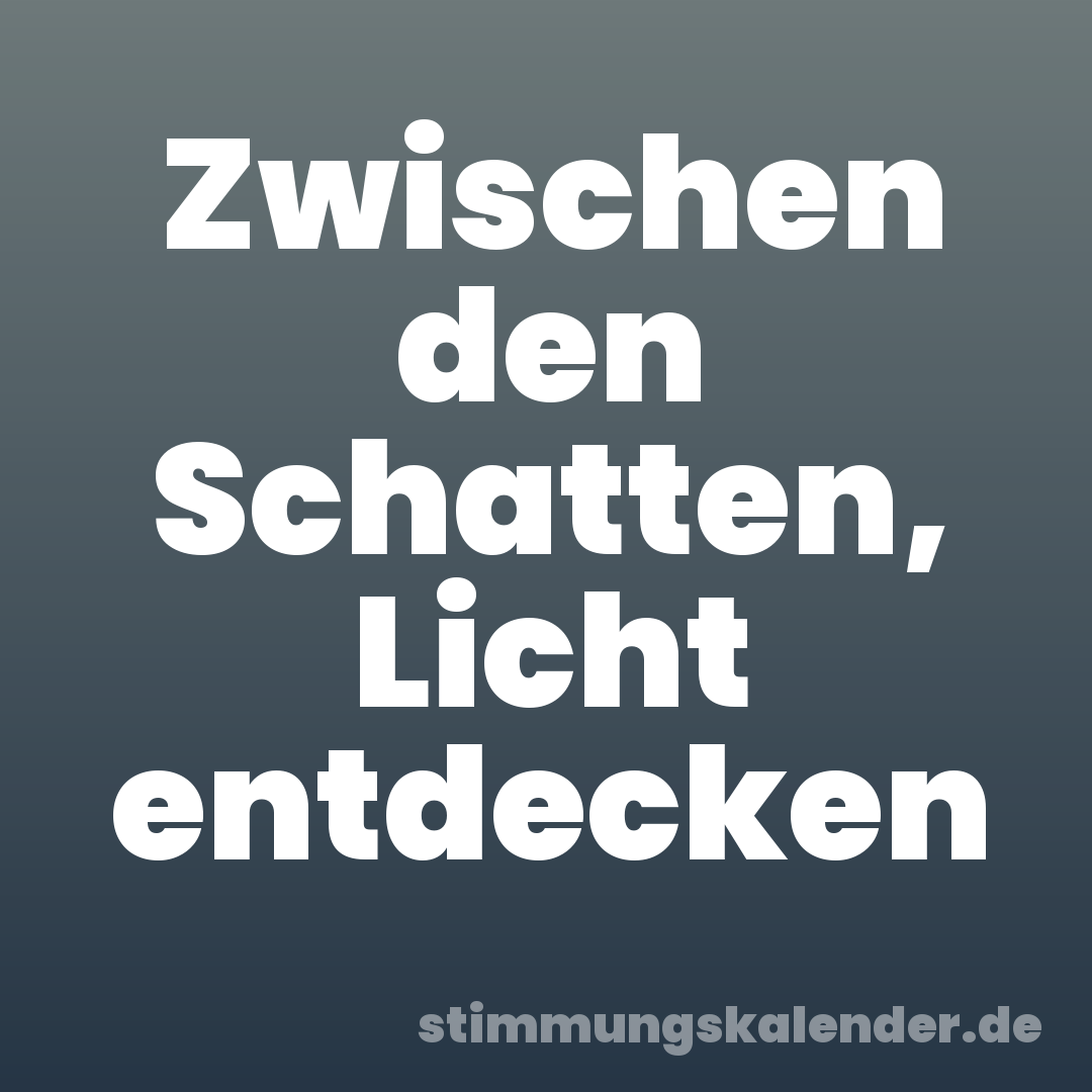 Zwischen den Schatten, Licht entdecken