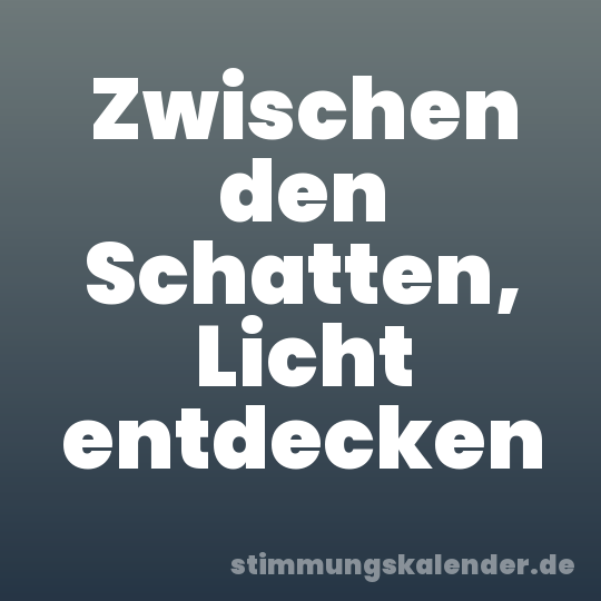 Zwischen den Schatten, Licht entdecken