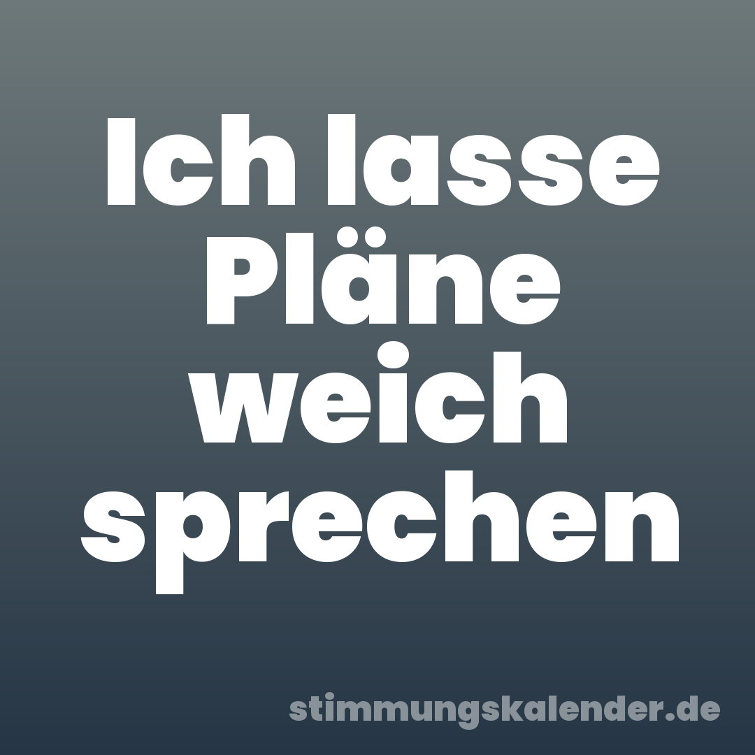 Ich lasse Pläne weich sprechen