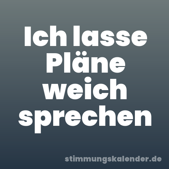Ich lasse Pläne weich sprechen