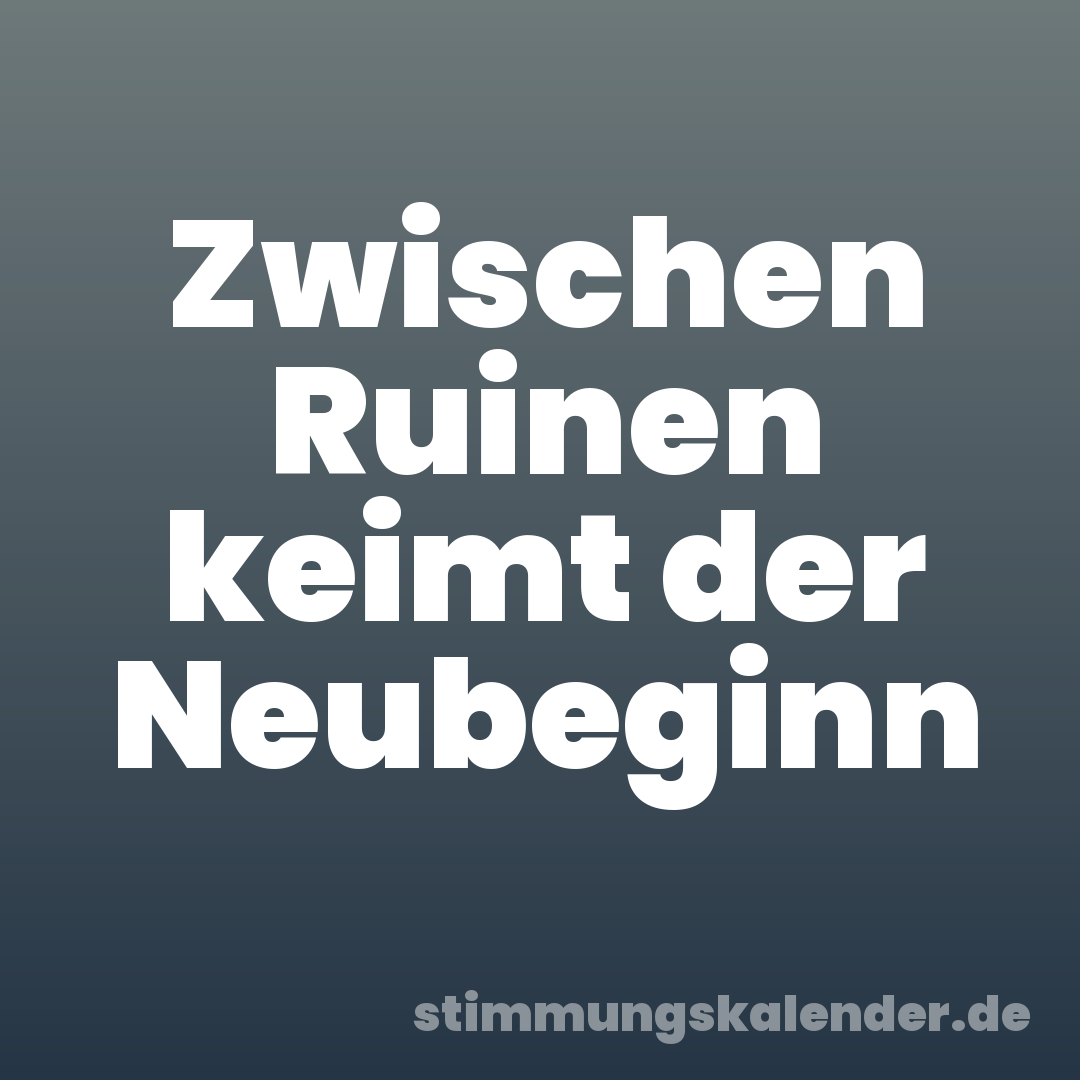 Zwischen Ruinen keimt der Neubeginn