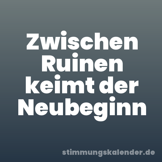 Zwischen Ruinen keimt der Neubeginn