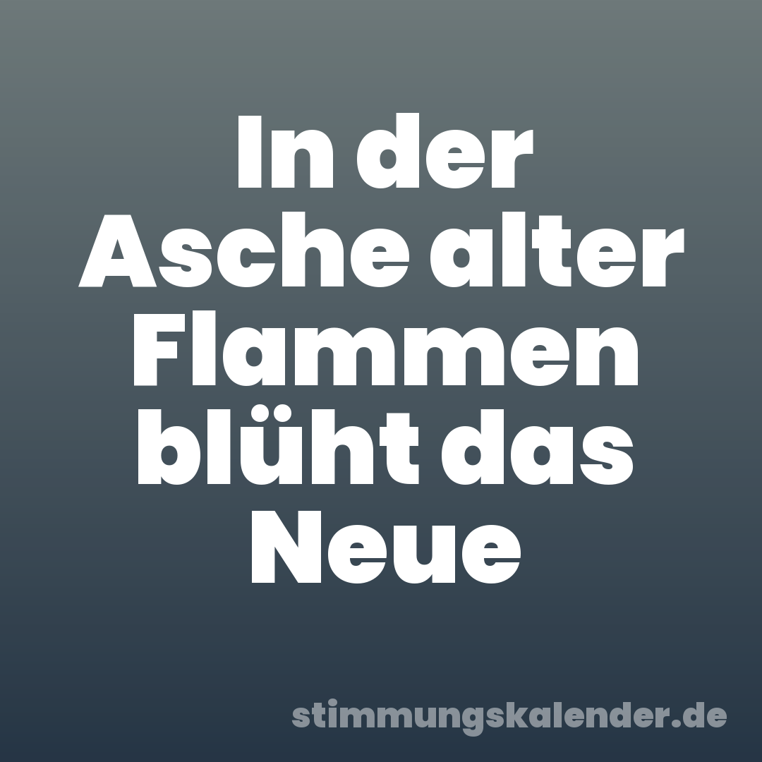 In der Asche alter Flammen blüht das Neue