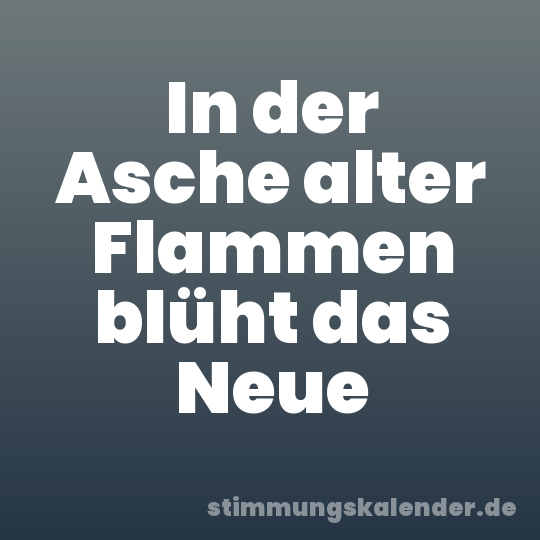 In der Asche alter Flammen blüht das Neue