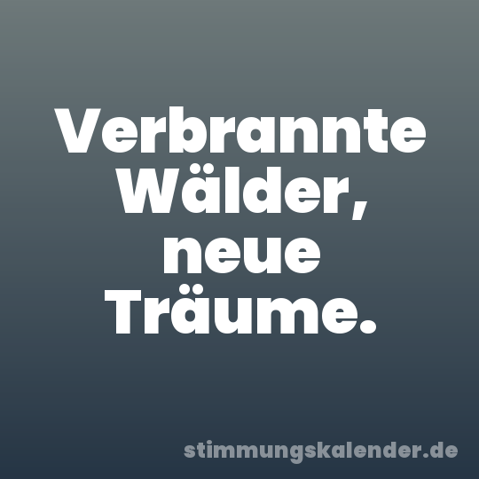 Verbrannte Wälder, neue Träume.