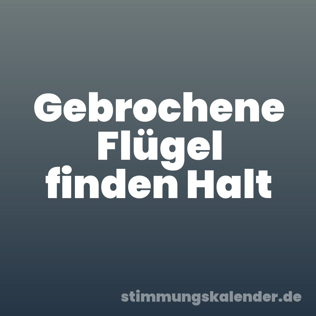 Gebrochene Flügel finden Halt