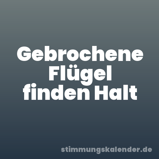 Gebrochene Flügel finden Halt