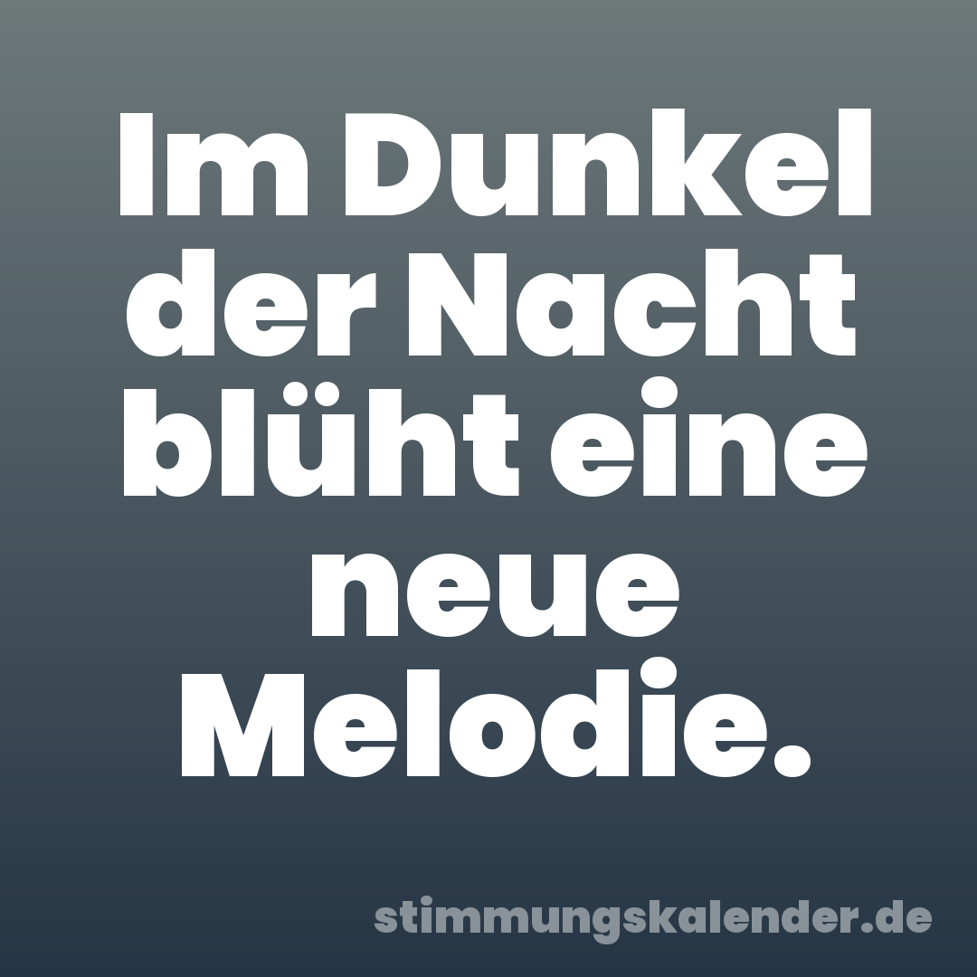 Im Dunkel der Nacht blüht eine neue Melodie.