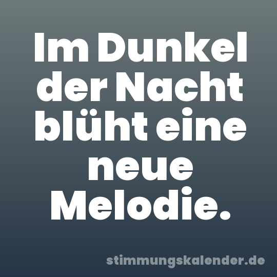 Im Dunkel der Nacht blüht eine neue Melodie.