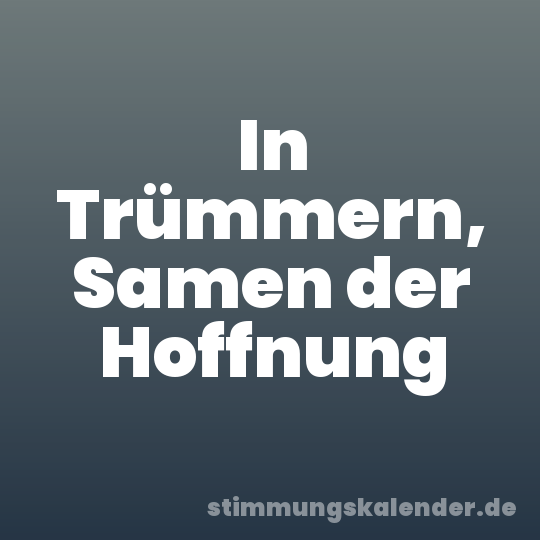 In Trümmern, Samen der Hoffnung