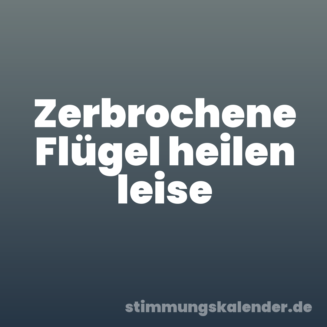Zerbrochene Flügel heilen leise