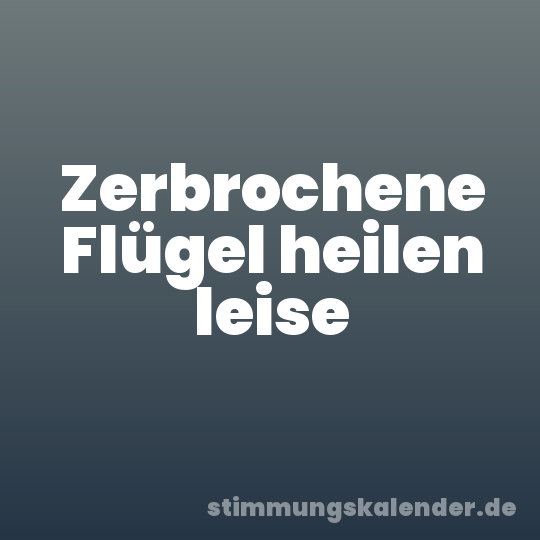 Zerbrochene Flügel heilen leise