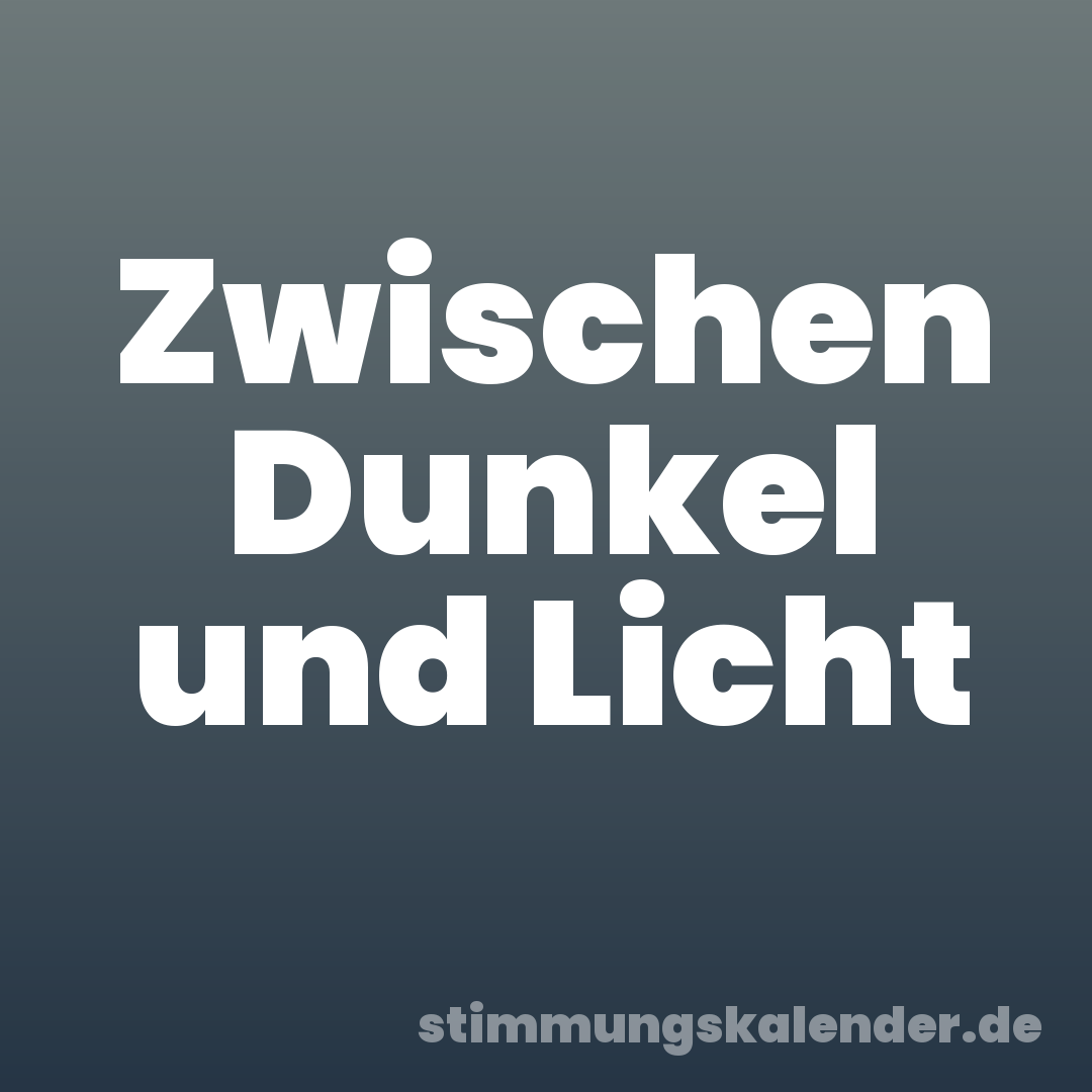 Zwischen Dunkel und Licht