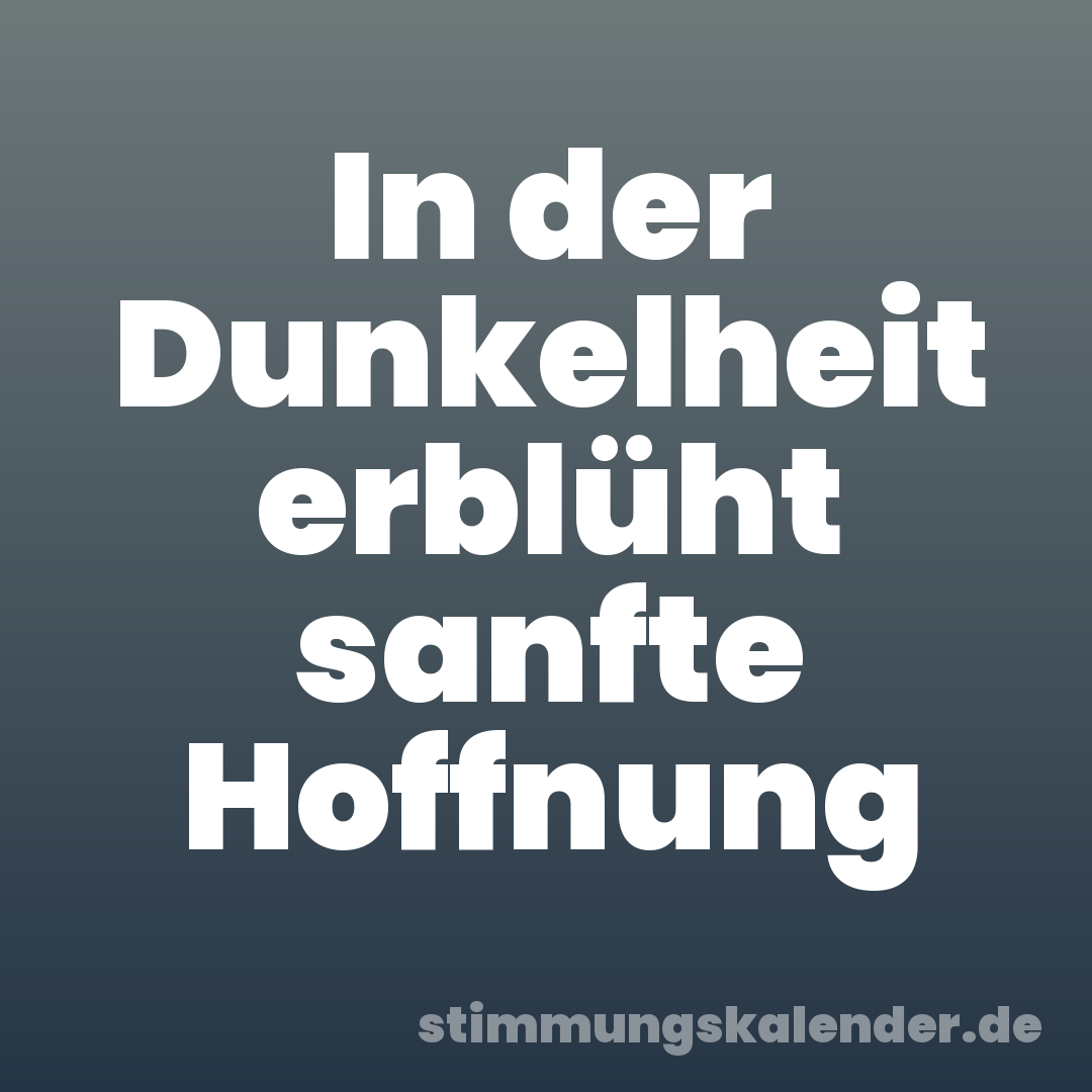 In der Dunkelheit erblüht sanfte Hoffnung