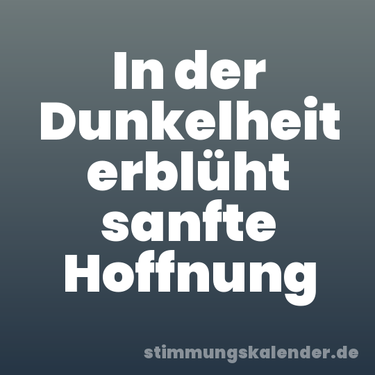 In der Dunkelheit erblüht sanfte Hoffnung